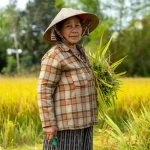 Cô Hai Lụa