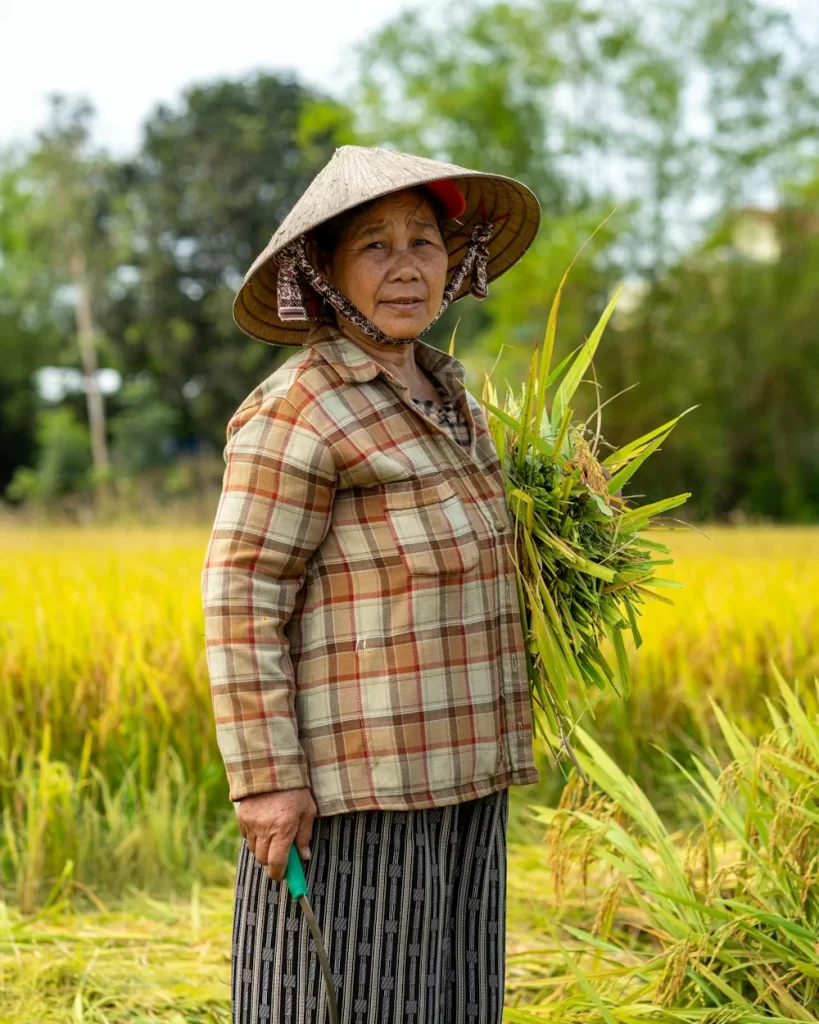 Cô Hai Lụa — Người trồng củ và trái