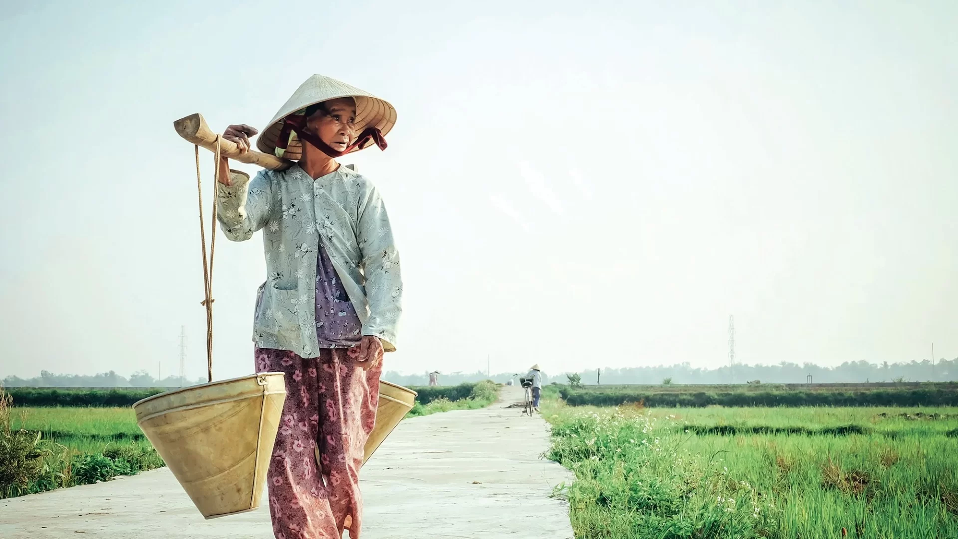 Người nông dân đội nón lá gánh hai giỏ rau trên bờ ruộng xanh buổi sáng nắng ấm