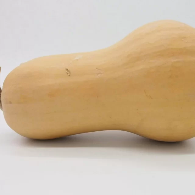 Bí đỏ hồ lô