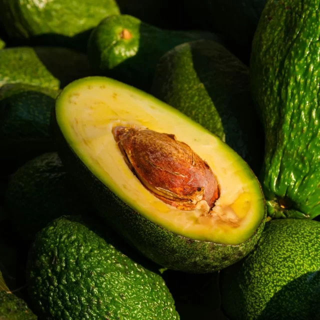 Bơ sáp Lâm Đồng
