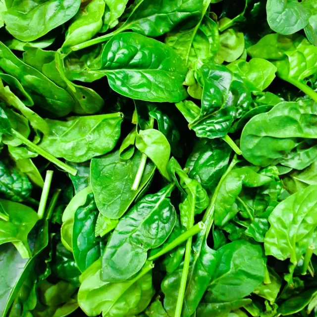 Cải bó xôi (rau chân vịt)