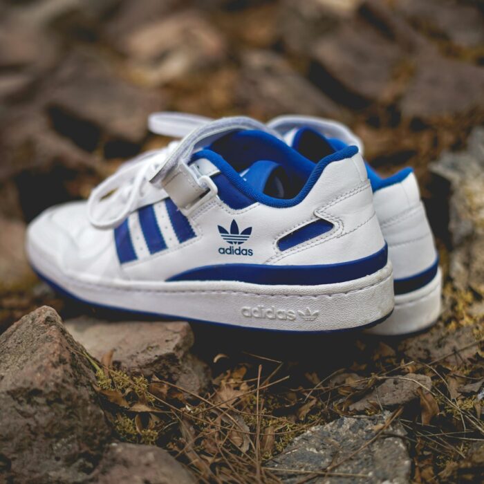 adidas Forum Low “Royal Blue”