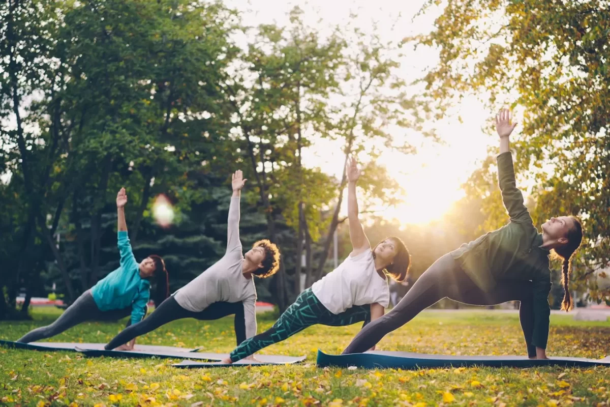 Lớp yoga buổi sáng trên bãi cỏ giữa rừng thông