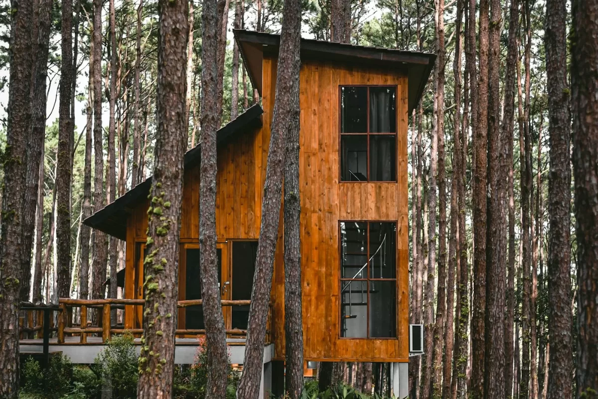 Ngôi nhà gỗ hai tầng nhiều cửa kính giữa rừng thông cao