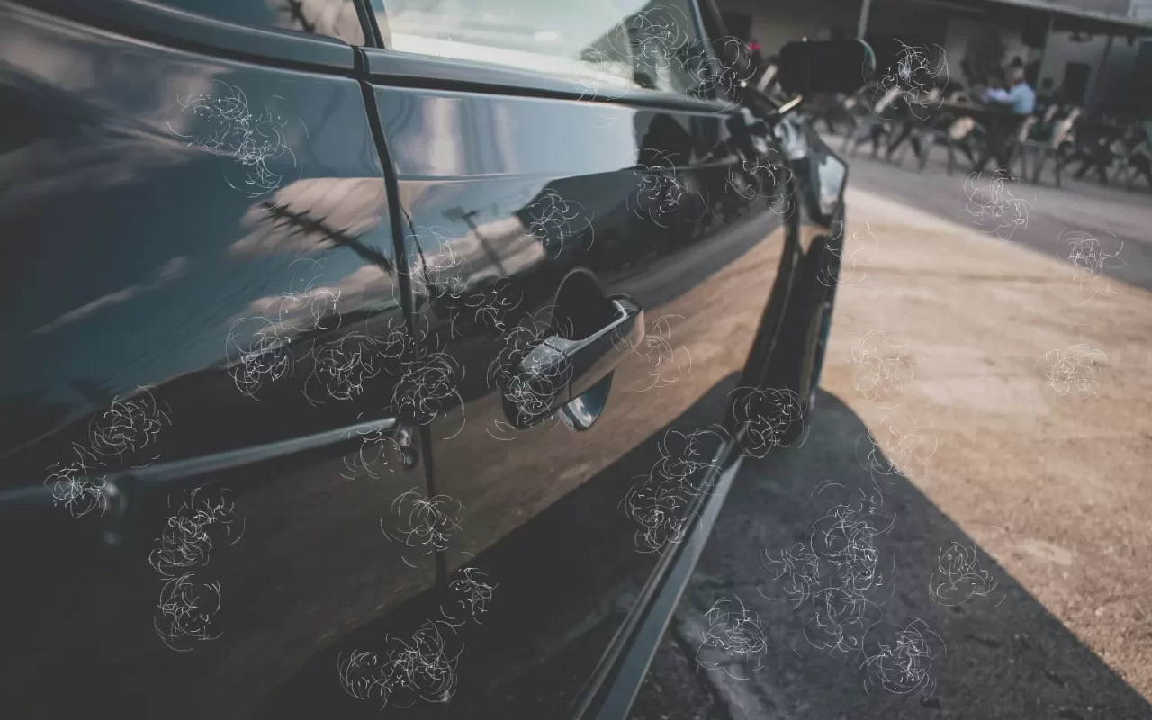 Mazda3 2020 – trước khi làm: Đánh bóng xóa xước