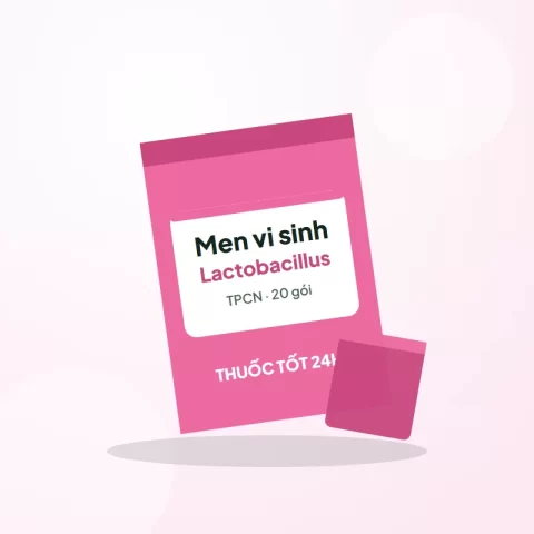 Men vi sinh Lactobacillus dạng gói