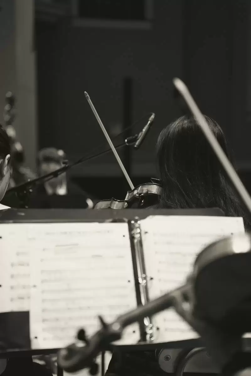 Dàn nhạc dây đang biểu diễn violin