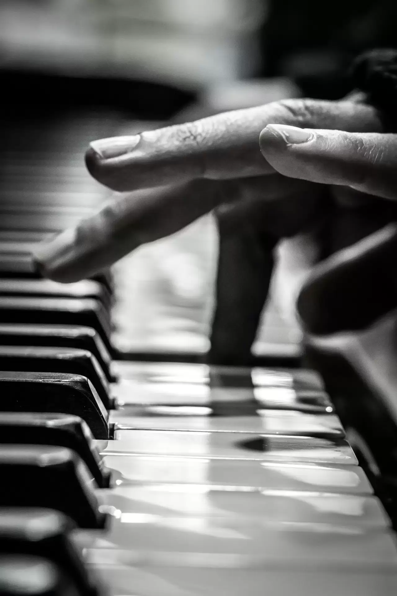 Đôi bàn tay lướt trên phím đàn piano