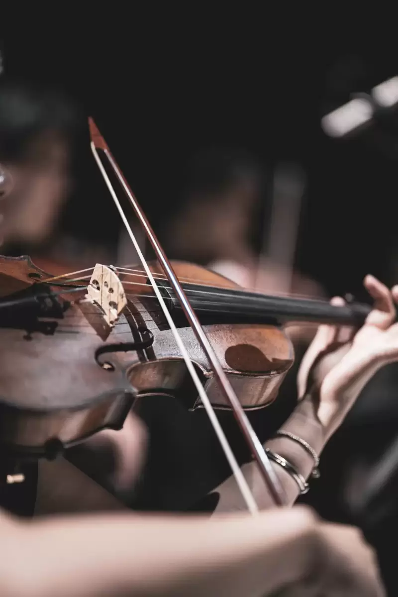 Cận cảnh người kéo vĩ trên dây đàn violin