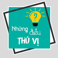 Túi gói hàng Dutu