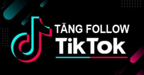 Bí kíp tăng lượng follow trên Tiktok cho doanh nghiệp trực tuyến