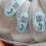 Những tổ yến trắng đã tinh chế xếp đều trong khay tròn